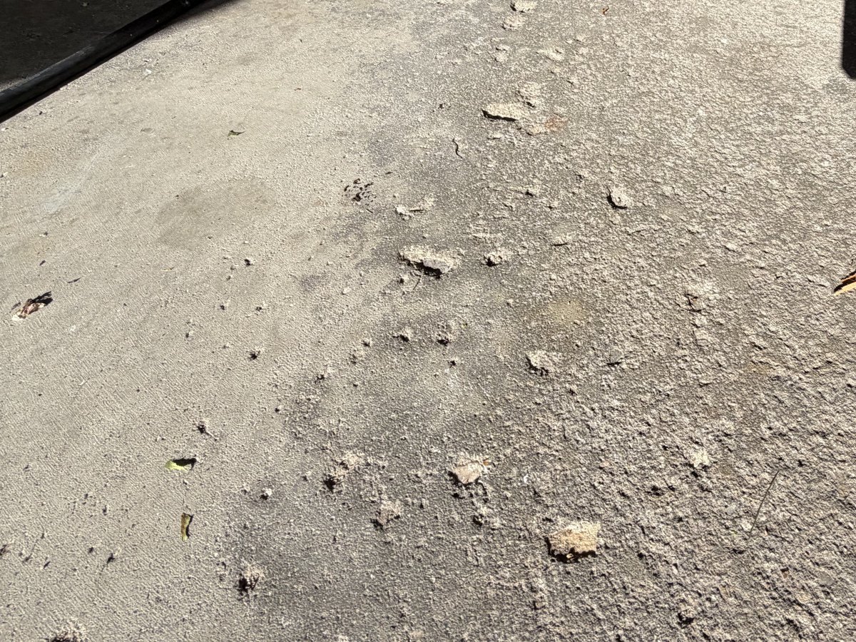 Salt-damaged, spalling concrete floor